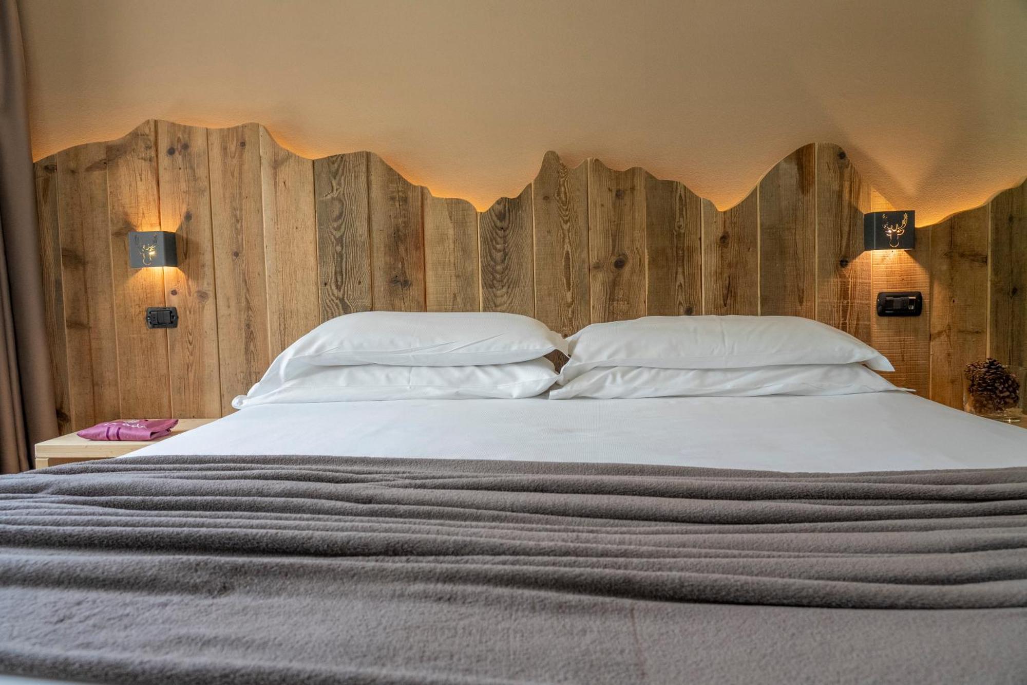Superior Double or Twin Room Mountain View